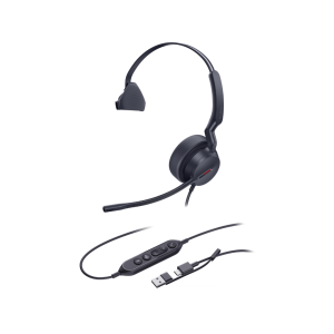 headset (30)
