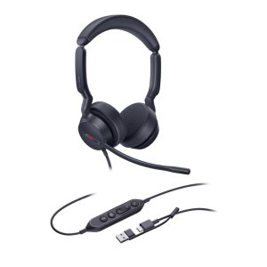 headset (31)